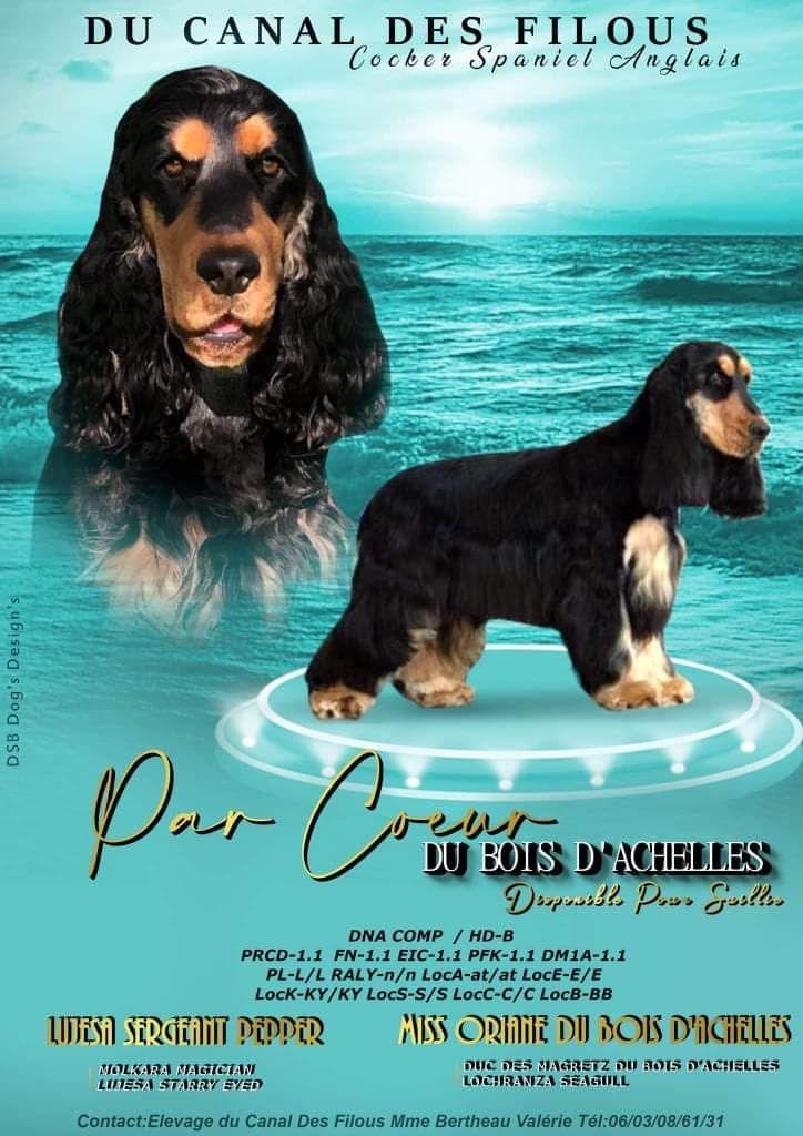 Par coeur du Bois d'Achelles